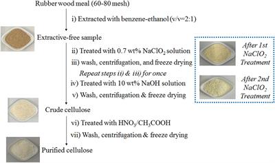 Cellulose Isolated From Waste Rubber Wood and Its Application in PLA Based Composite Films